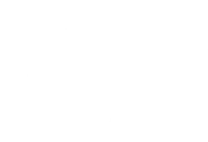 6c logomarca aline pet florianopolis copiar